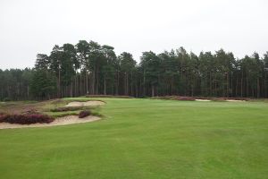 Swinley Forest 11th Fairway